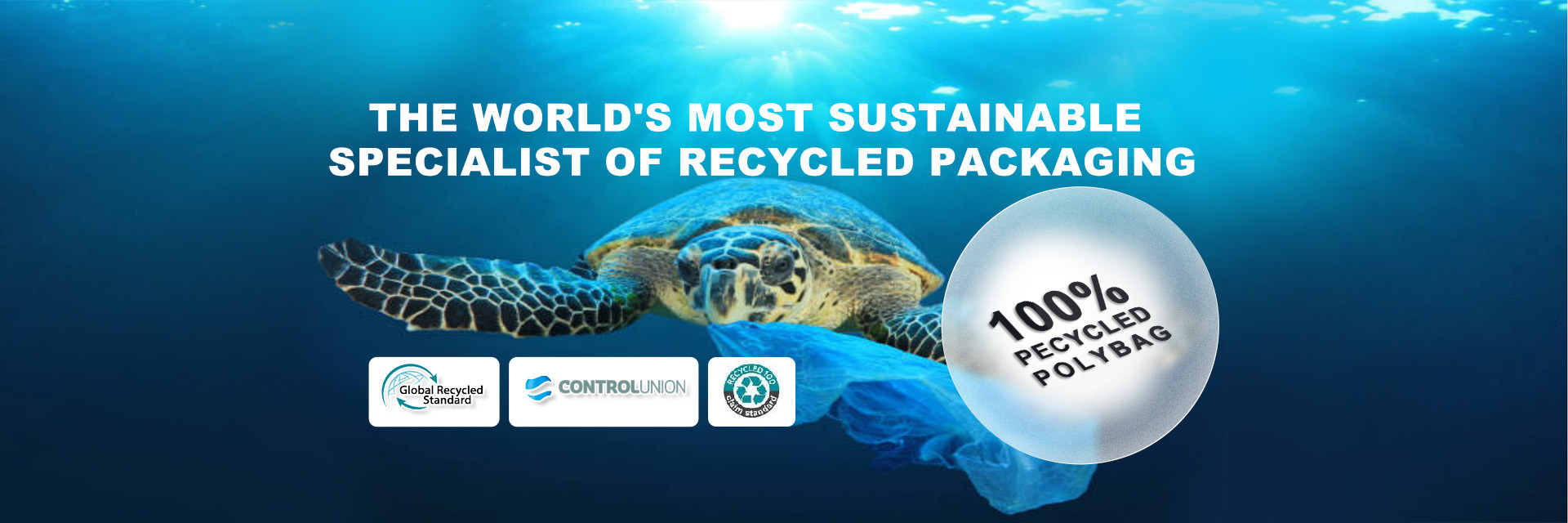 kwaliteit Recycled Plastic Zip Bags fabriek